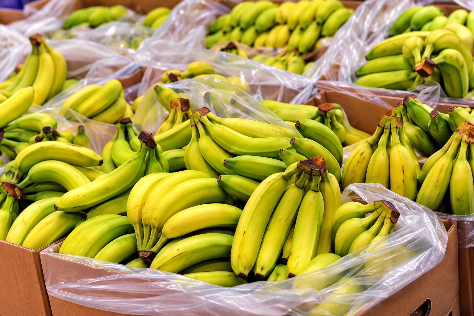 Fresh Produce Supply