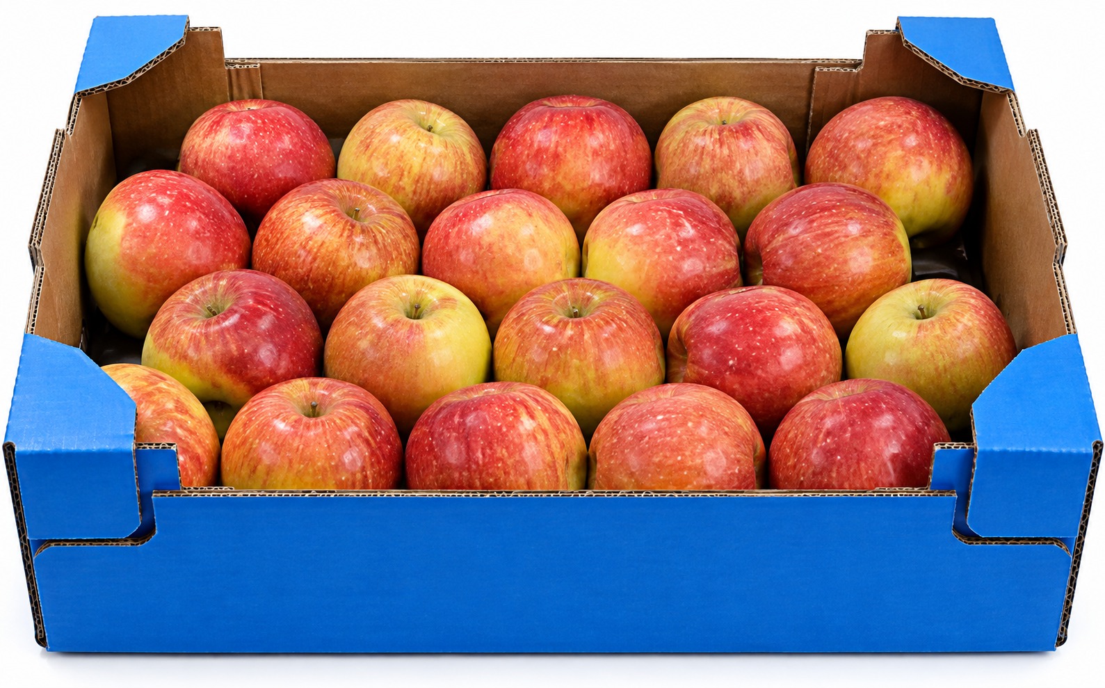 Fresh Produce Supply
